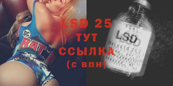 прущие грибы Покров
