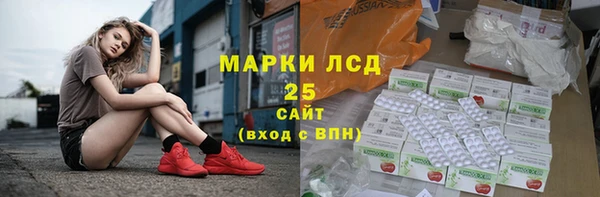 прущие грибы Покровск