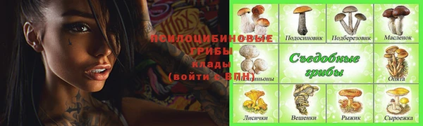 прущие грибы Покров