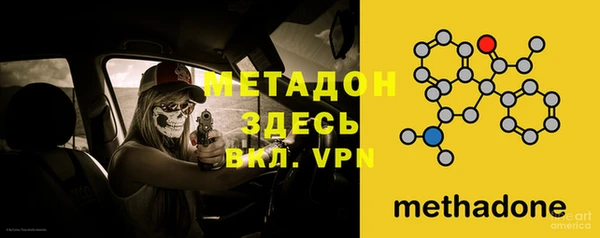 прущие грибы Покров