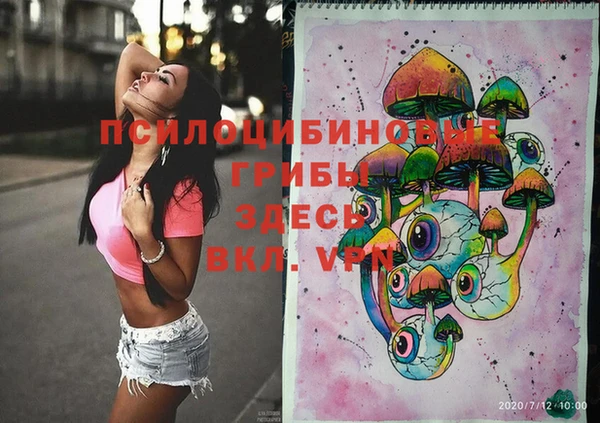 прущие грибы Покров