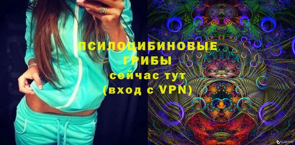 ГАЛЛЮЦИНОГЕННЫЕ ГРИБЫ Карабаш