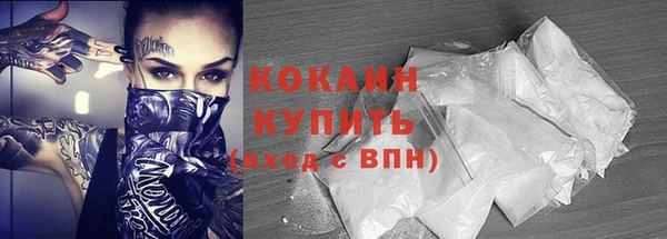 прущие грибы Покровск