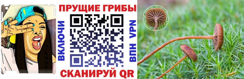 Галлюциногенные грибы Magic Shrooms  Сибай 