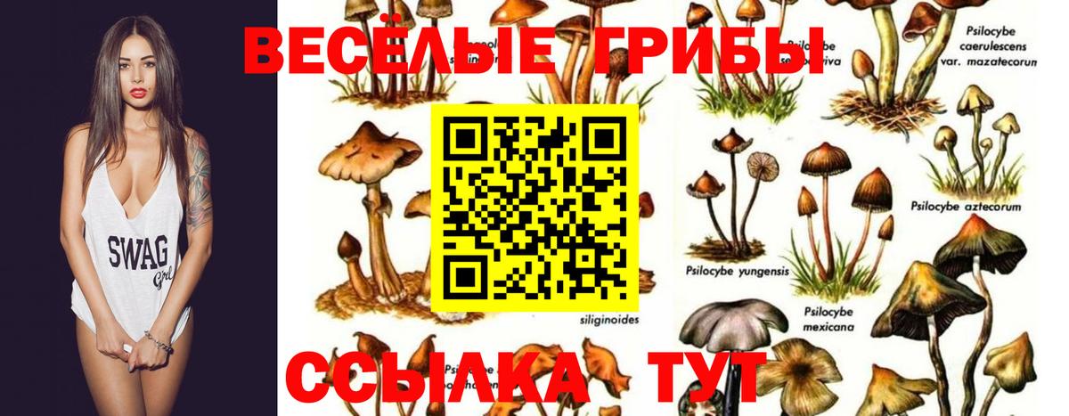 Псилоцибиновые грибы мухоморы Сибай