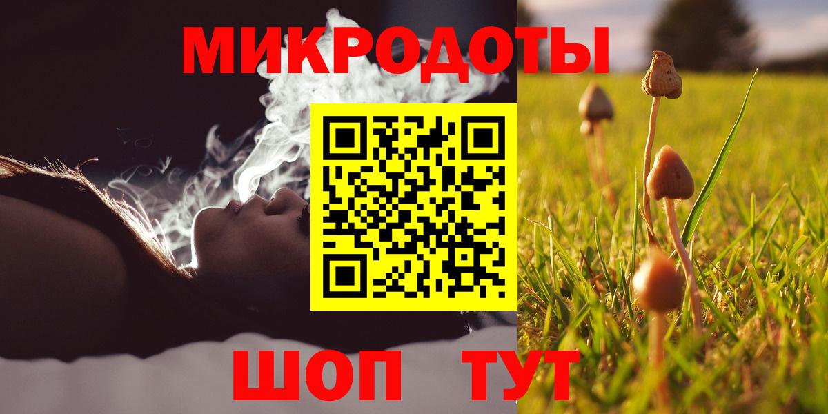 Галлюциногенные грибы Psilocybine cubensis  Вход с VPN  Сибай 